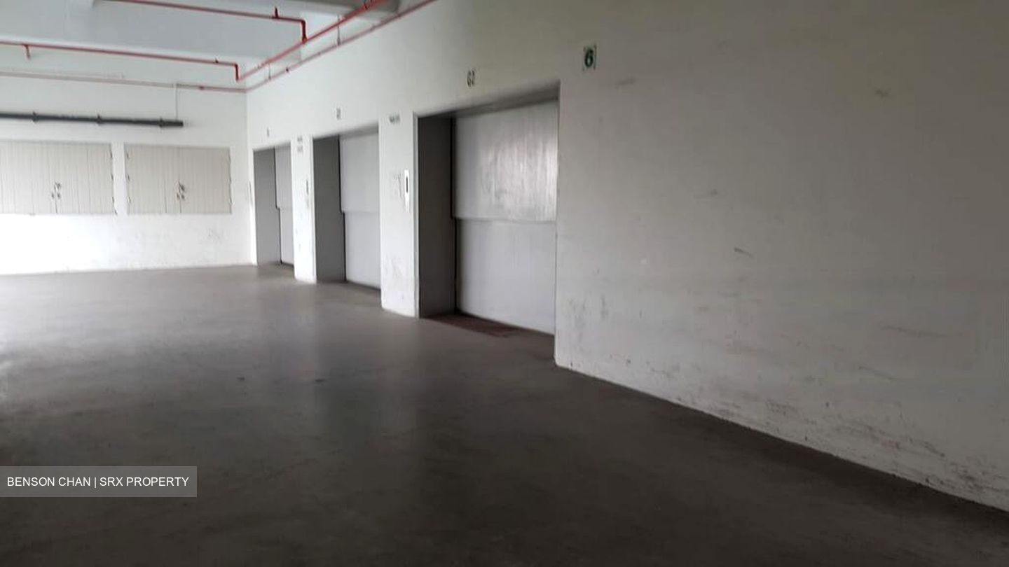 People's Garden (D19), Warehouse #463023341